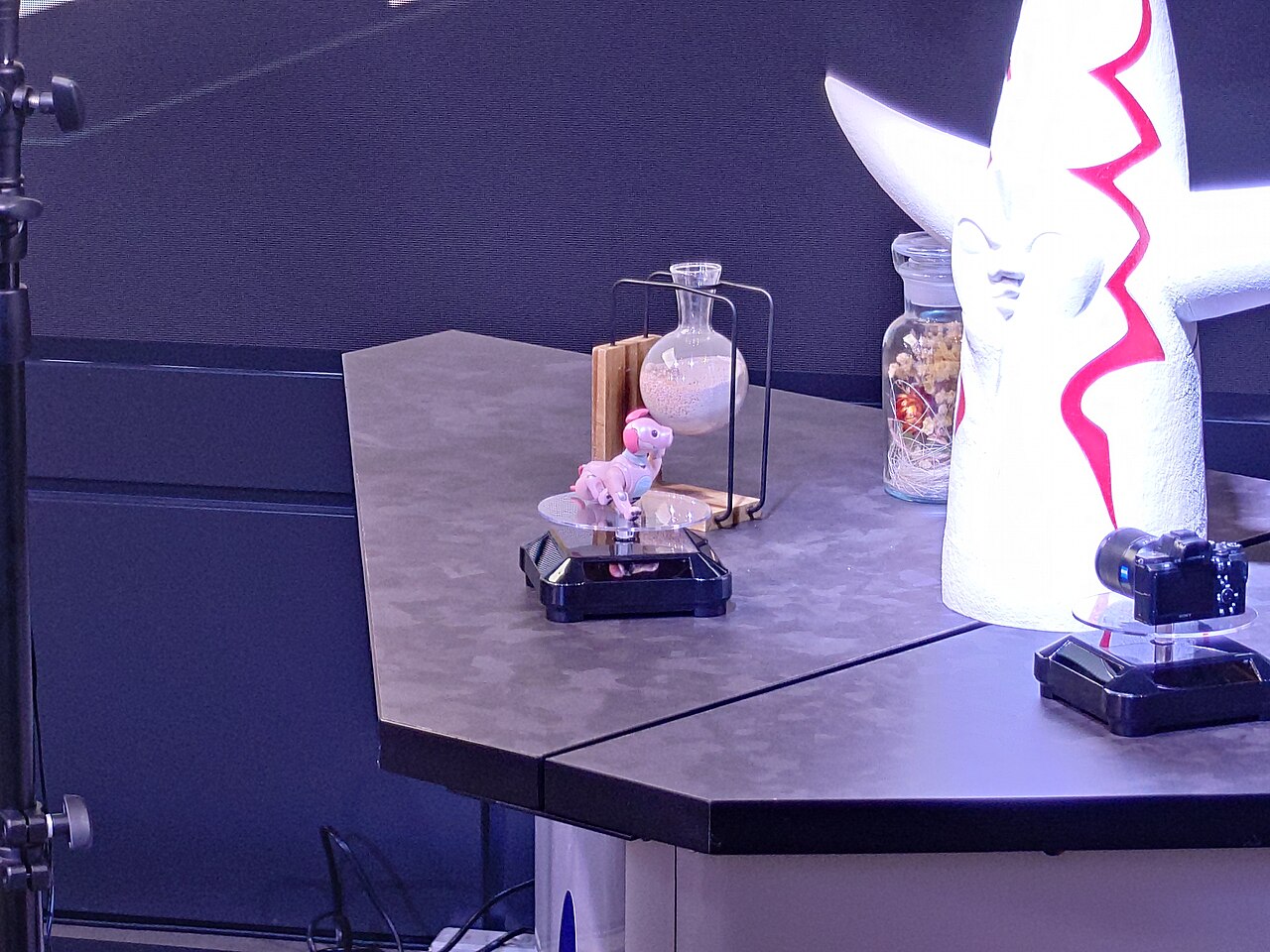 소니 aibo 스트로베리 밀크 에디션 본체(2022년 촬영, 인형이나 피규어가 아닌 실제 로봇)