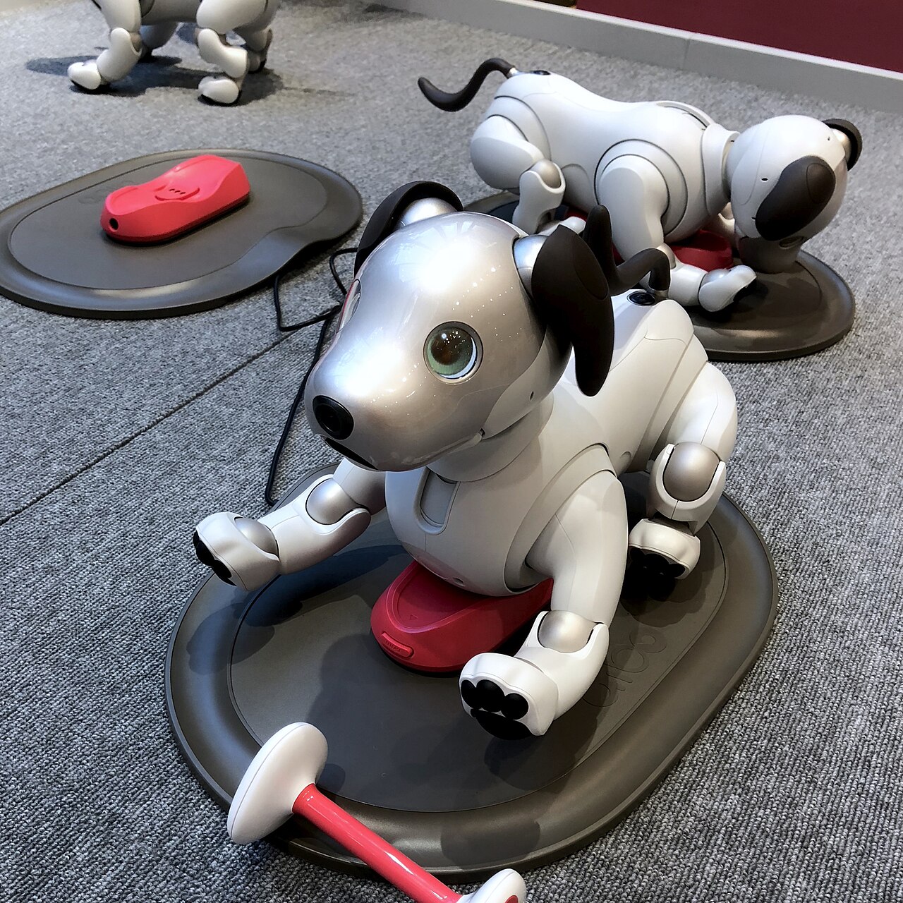 차지스테이션 위에 놓인 소니 aibo ERS-1000 여러 대
