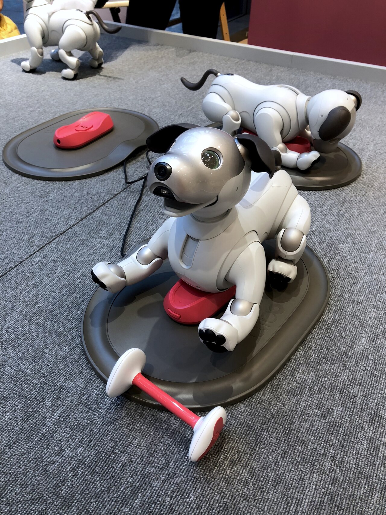 차지스테이션에 올라가 있는 소니 aibo ERS-1000과 장난감 본(aibone)